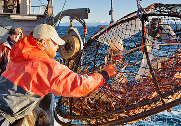 What's the Difference Between Farmed and Wild-Caught Seafood?