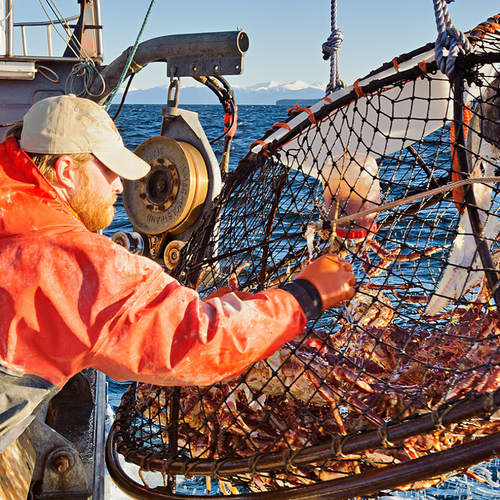 What's the Difference Between Farmed and Wild-Caught Seafood?