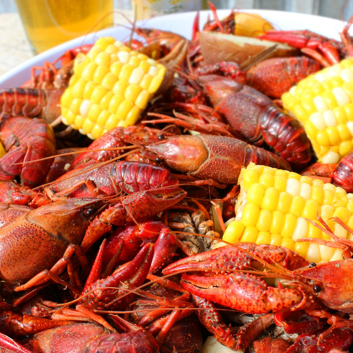 Cold winter cripples early crawfish sales