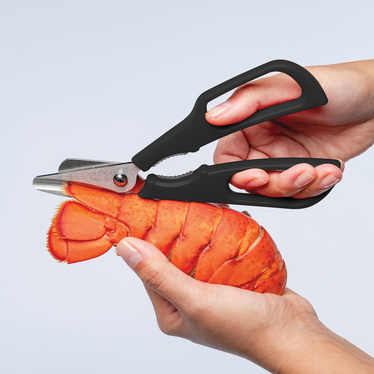 Premium Stainless Steel Seafood Scissors Perfect For Crab - Temu